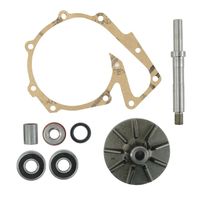 Kit Reparo Bomba de Água Trator Valtra 836840101 Indisa