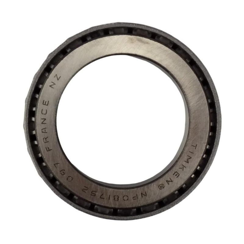 Foto-4969387-4