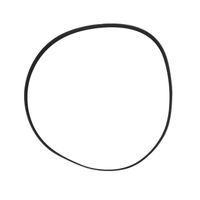Correia 6PK Trator Massey 4357919M3 Agco