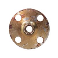 Flange Aço Trator Massey 881156 Panegossi
