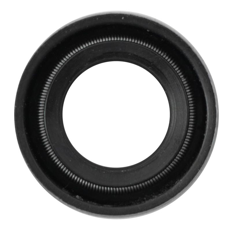 Foto-4970960-2