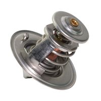 Válvula Termostática M Perkins Trator Massey 2485613 Valclei