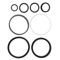 Reparo Cilindro Direção Hidrostática Massey 3176477 Agel