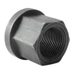 Foto-4962392-2