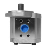 Bomba Hidráulica Trator Agrale 41410703 Bosch