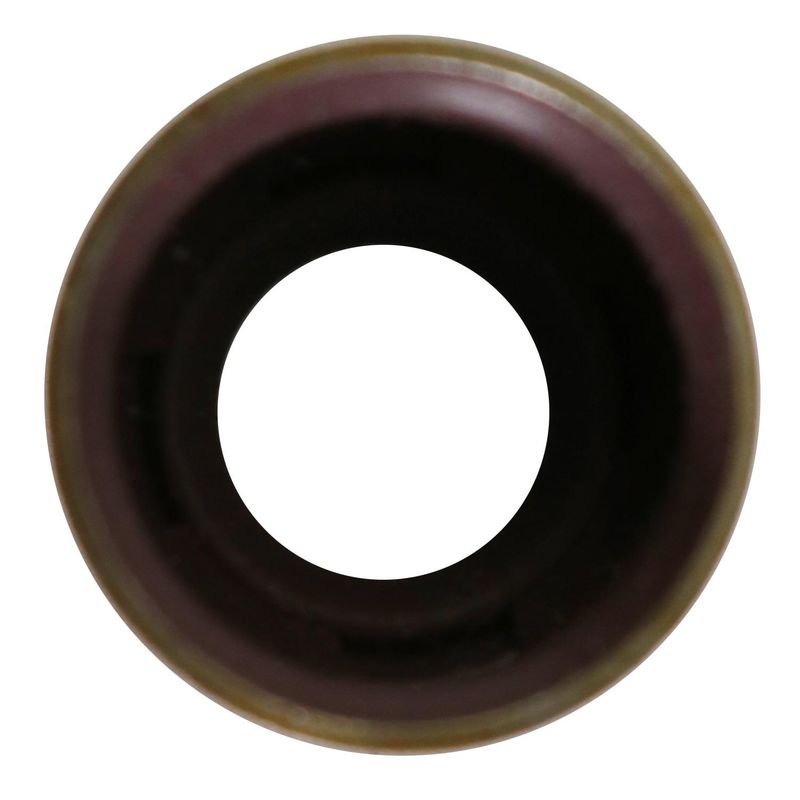 Foto-4965985-1