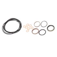 Kit Reparo Unidade Hidrostática Trator Valtra 81420200 Agel