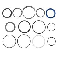 Kit Reparo Cilindro Hidráulico Trator Massey 042919 Agel