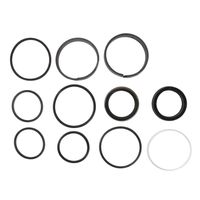 Reparo Cilindros Caçamba Retroescavadeira Massey 1606502 Agel