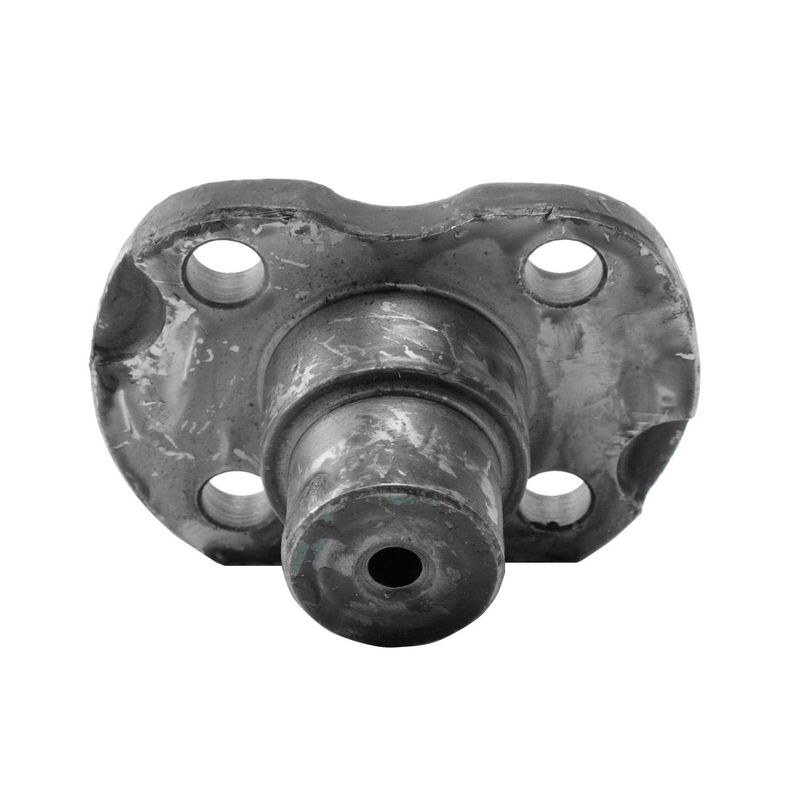 Foto-4958000-1