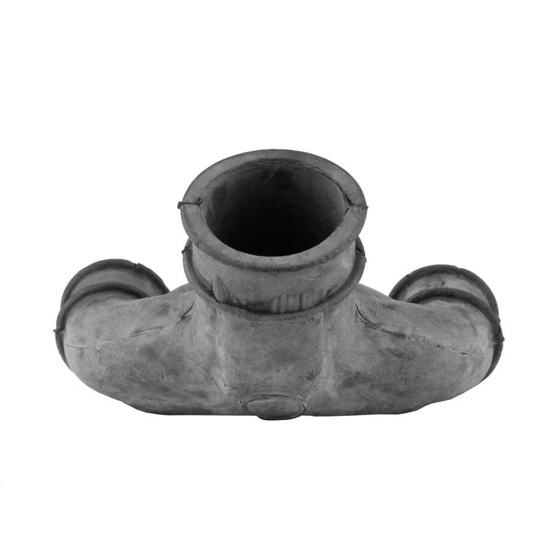 Foto-4959919-4