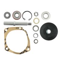 Reparo Bomba sem Rolamento Perkins Massey 420392 Indisa