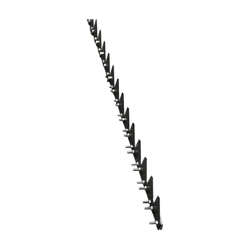 Foto-4962649-1