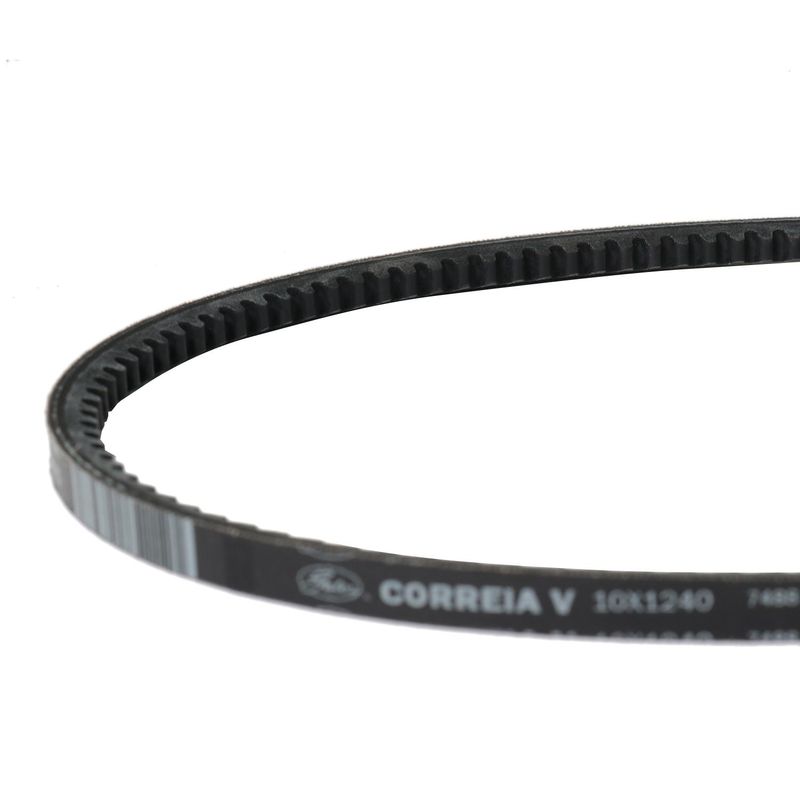 Foto-4963224-2