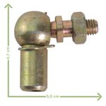 Foto-4968115-3