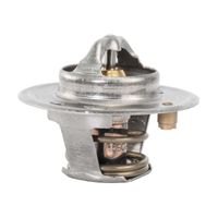 Termostato Motor Valtra 836015156 Agco