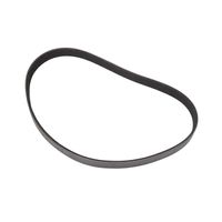 Correia 6PK865 Trator Valtra 87663600 Agco
