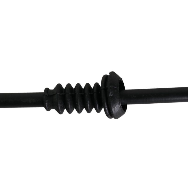 Foto-4969835-3