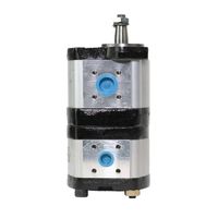 Bomba Hidráulica Dupla Trator Massey 9015102501 Indisa