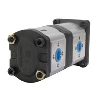 Bomba Hidráulica Dupla Trator Valtra 9038102758 Indisa