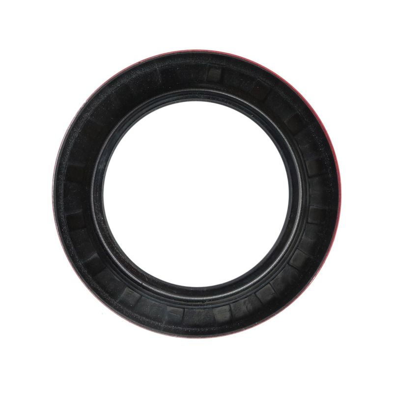 Foto-4970989-2