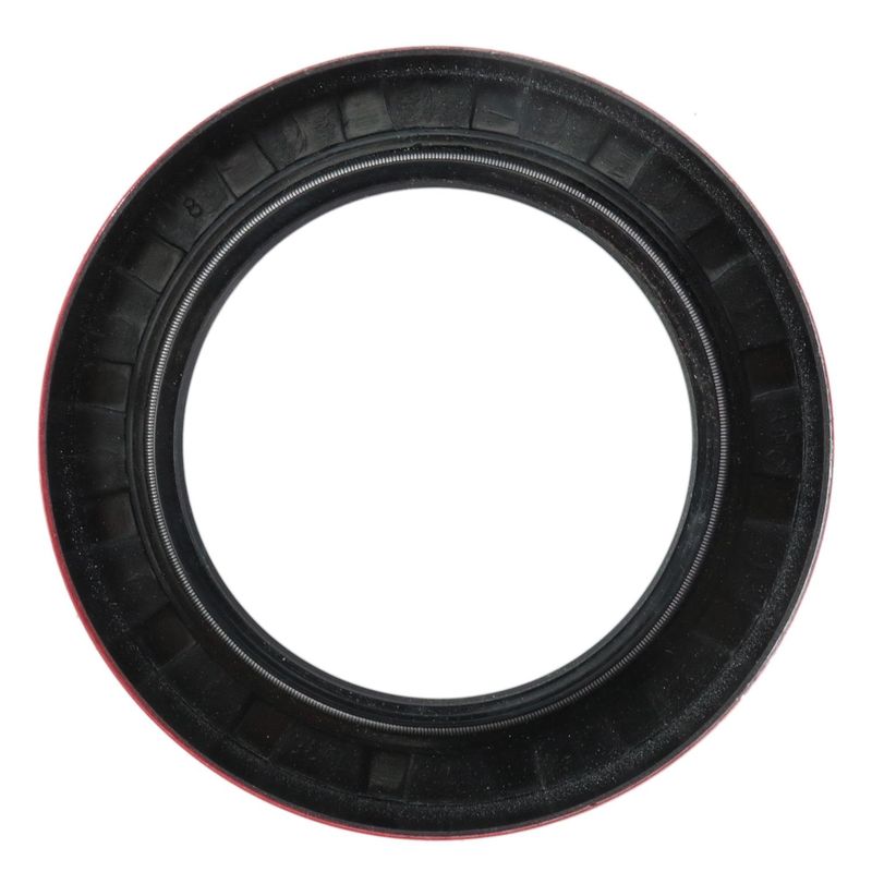 Foto-4970990-3