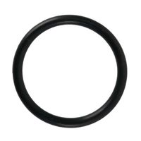 Anel Borracha Forrageira New Holland 353108 CNH