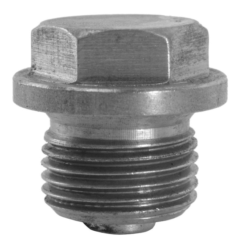 Foto-4960846-2