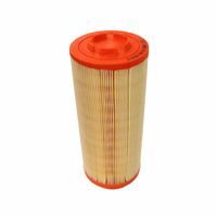 Filtro Primário Trator Massey 055113 Tecfil