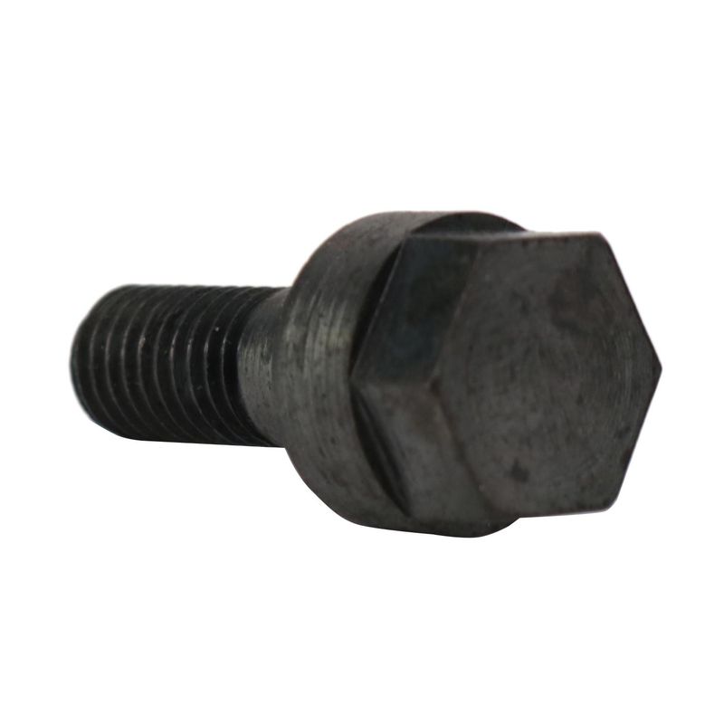 Foto-4963718-2