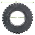 Foto-4969117-3