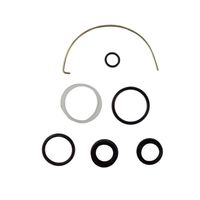 Reparo Cilindro Direção para Plantadeira John Deere DQ33188