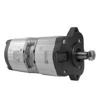 Bomba Hidráulica Dupla Trator Massey F000510502 Bosch