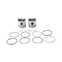Pistão com Anéis Trator New Holland D4NN6108 Mahle