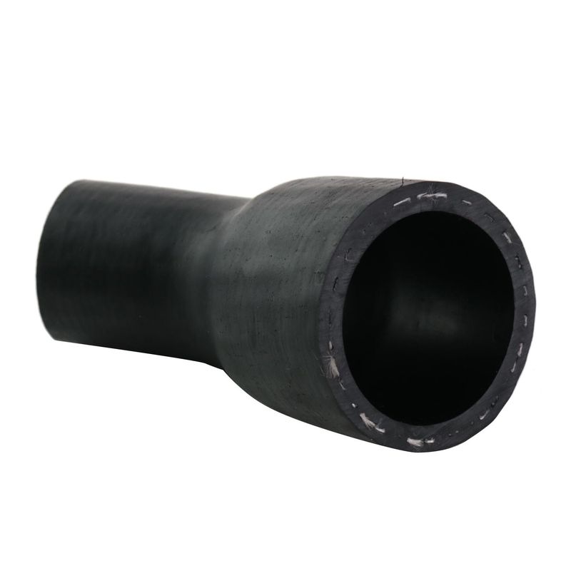 Foto-4958269-2