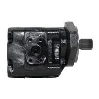 Bomba Hidráulica Implementos 14 Estrias 48l 1420700 Marrucci