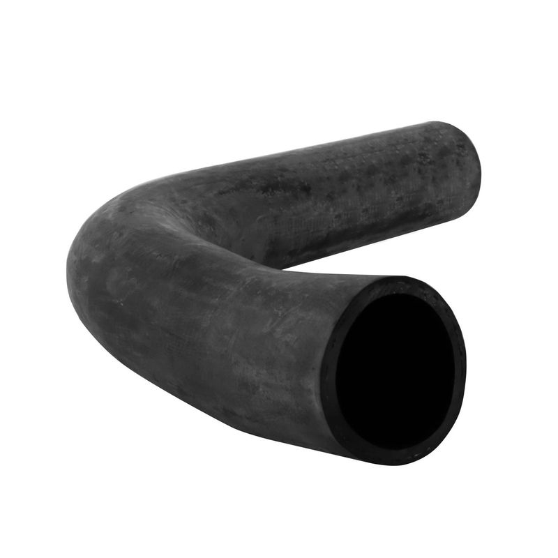 Foto-4962884-2