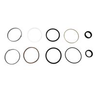 Kit Reparo Cilindro Hidráulico Trator Valtra 80043200 Agel