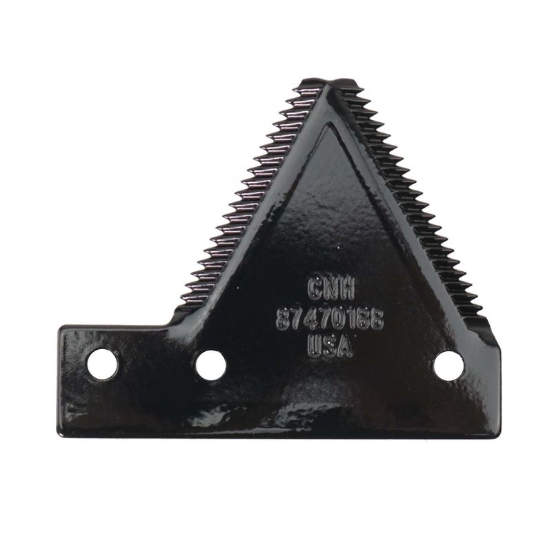 Foto-4969700-1