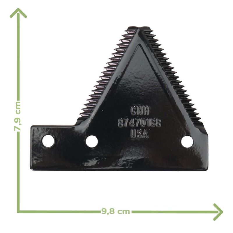 Foto-4969700-2