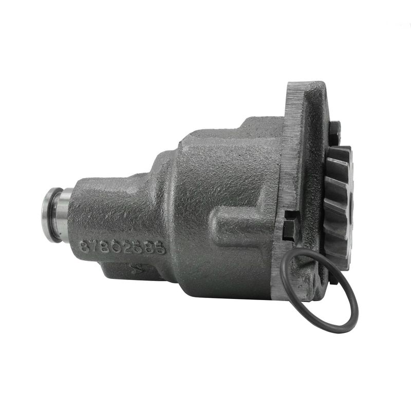 Foto-4969874-2