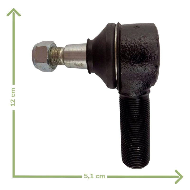 Foto-4969460-3