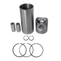 Kit Motor Perkins Trator Massey I41013 Mahle