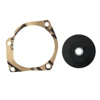 Reparo Bomba com Rolamento Perkins Valtra 420392 Indisa