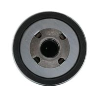 Filtro Combustível Trator Massey 6280925 Agco