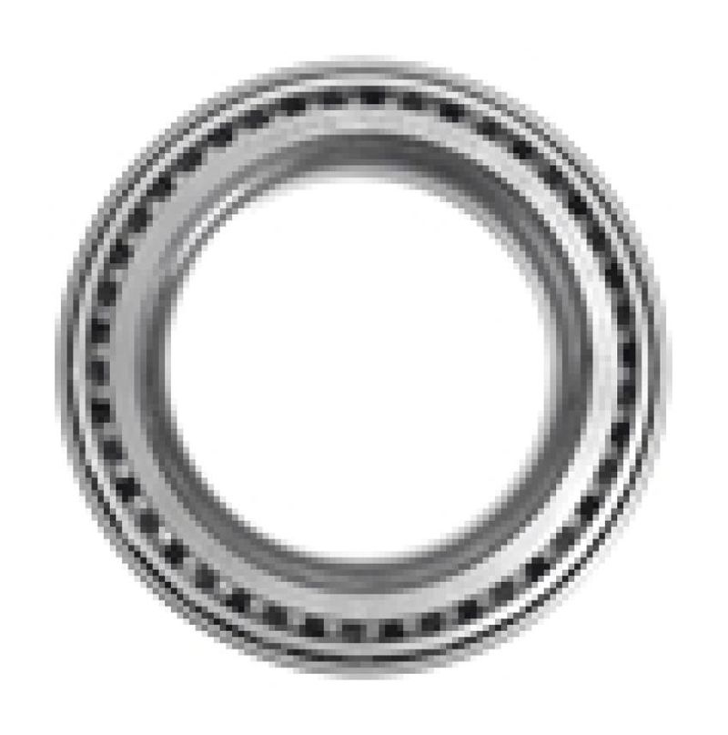 Foto-4965545-2