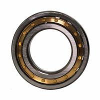 Rolamento NUP Trator Massey 3003372AS1 Fersa