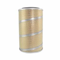 Filtro Ar Motor Trator Massey 020350R1 Agco