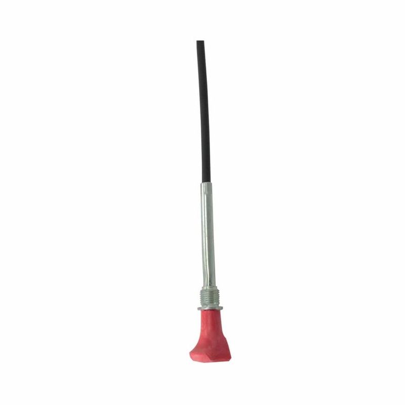 Foto-4971294-2