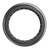 Rolamento Agulha Eixo Principal Trator Valtra LA9020 NOR